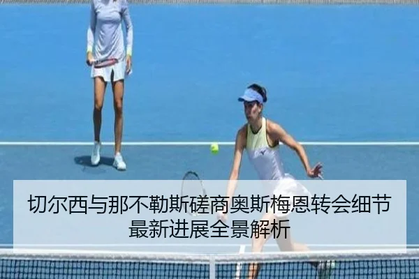 切尔西与那不勒斯磋商奥斯梅恩转会细节最新进展全景解析