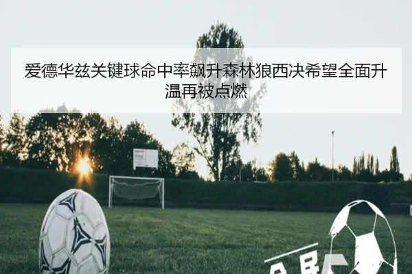 爱德华兹关键球命中率飙升森林狼西决希望全面升温再被点燃